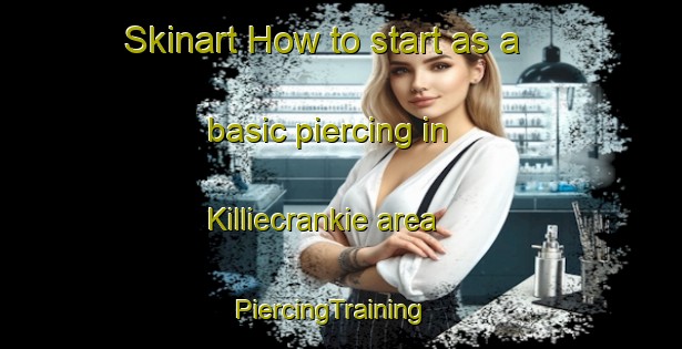 Skinart How to start as a basic piercing in Killiecrankie area | PiercingTraining | PiercingClasses | SkinartTraining-United Kingdom
