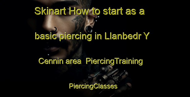 Skinart How to start as a basic piercing in Llanbedr Y Cennin area | PiercingTraining | PiercingClasses | SkinartTraining-United Kingdom