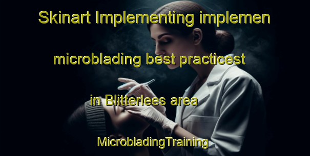 Skinart Implementing implemen microblading best practicest in Blitterlees area | #MicrobladingTraining #MicrobladingClasses #SkinartTraining-United Kingdom