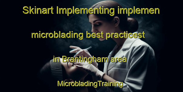 Skinart Implementing implemen microblading best practicest in Brantingham area | #MicrobladingTraining #MicrobladingClasses #SkinartTraining-United Kingdom