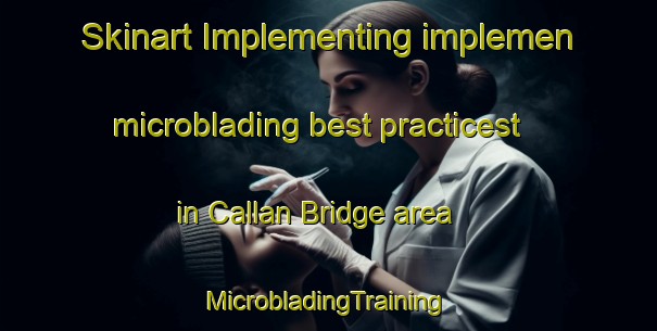 Skinart Implementing implemen microblading best practicest in Callan Bridge area | #MicrobladingTraining #MicrobladingClasses #SkinartTraining-United Kingdom