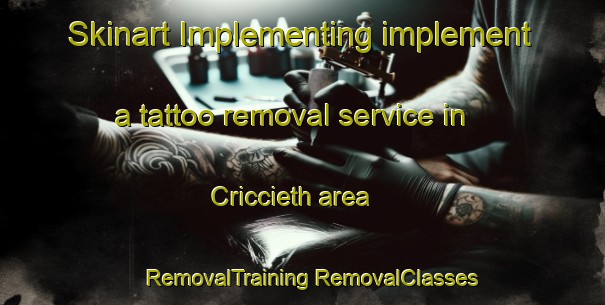 Skinart Implementing implement a tattoo removal service in Criccieth area | #RemovalTraining #RemovalClasses #SkinartTraining-United Kingdom