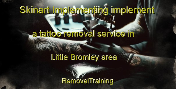 Skinart Implementing implement a tattoo removal service in Little Bromley area | RemovalTraining | RemovalClasses | SkinartTraining-United Kingdom