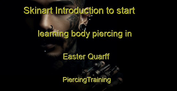 Skinart Introduction to start learning body piercing in Easter Quarff | #PiercingTraining #PiercingClasses #SkinartTraining-United Kingdom