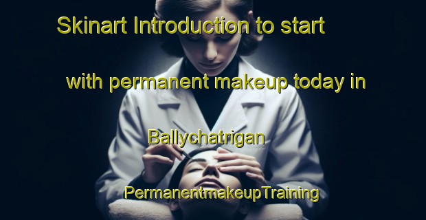 Skinart Introduction to start with permanent makeup today in Ballychatrigan | #PermanentmakeupTraining #PermanentmakeupClasses #SkinartTraining-United Kingdom