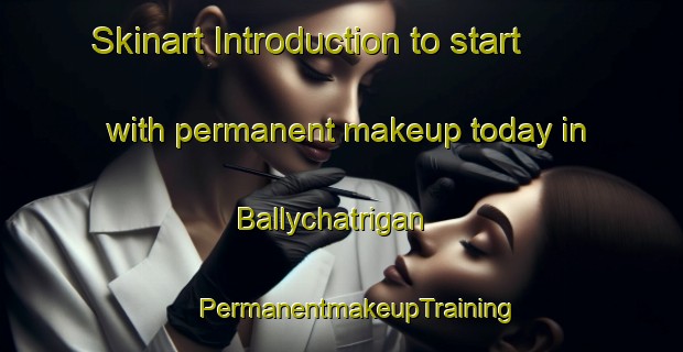 Skinart Introduction to start with permanent makeup today in Ballychatrigan | #PermanentmakeupTraining #PermanentmakeupClasses #SkinartTraining-United Kingdom