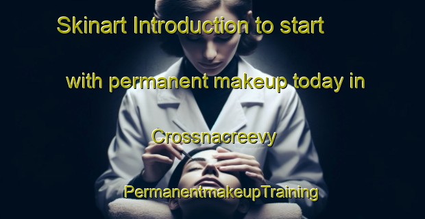 Skinart Introduction to start with permanent makeup today in Crossnacreevy | #PermanentmakeupTraining #PermanentmakeupClasses #SkinartTraining-United Kingdom