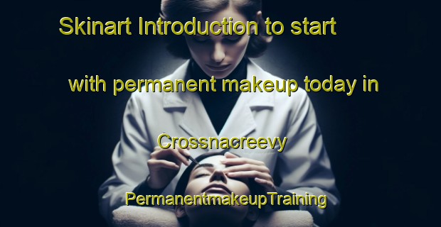 Skinart Introduction to start with permanent makeup today in Crossnacreevy | PermanentmakeupTraining | PermanentmakeupClasses | SkinartTraining-United Kingdom