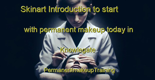 Skinart Introduction to start with permanent makeup today in Knowlegate | PermanentmakeupTraining | PermanentmakeupClasses | SkinartTraining-United Kingdom