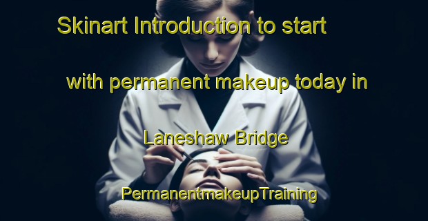 Skinart Introduction to start with permanent makeup today in Laneshaw Bridge | PermanentmakeupTraining | PermanentmakeupClasses | SkinartTraining-United Kingdom