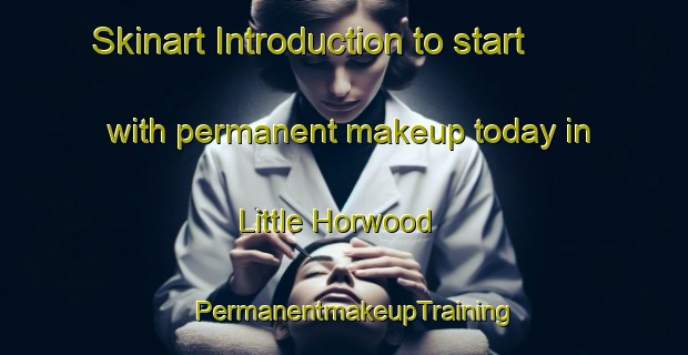Skinart Introduction to start with permanent makeup today in Little Horwood | PermanentmakeupTraining | PermanentmakeupClasses | SkinartTraining-United Kingdom