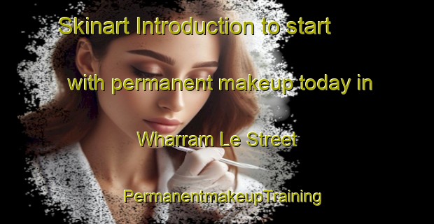 Skinart Introduction to start with permanent makeup today in Wharram Le Street | PermanentmakeupTraining | PermanentmakeupClasses | SkinartTraining-United Kingdom