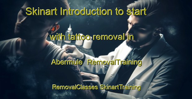 Skinart Introduction to start with tattoo removal in Abermule | #RemovalTraining #RemovalClasses #SkinartTraining-United Kingdom