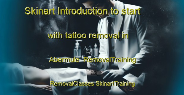 Skinart Introduction to start with tattoo removal in Abermule | #RemovalTraining #RemovalClasses #SkinartTraining-United Kingdom