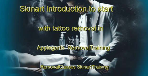 Skinart Introduction to start with tattoo removal in Applegarth | #RemovalTraining #RemovalClasses #SkinartTraining-United Kingdom