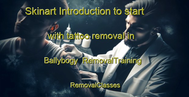 Skinart Introduction to start with tattoo removal in Ballybogy | RemovalTraining | RemovalClasses | SkinartTraining-United Kingdom