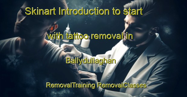 Skinart Introduction to start with tattoo removal in Ballydullaghan | #RemovalTraining #RemovalClasses #SkinartTraining-United Kingdom