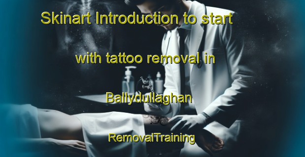 Skinart Introduction to start with tattoo removal in Ballydullaghan | RemovalTraining | RemovalClasses | SkinartTraining-United Kingdom