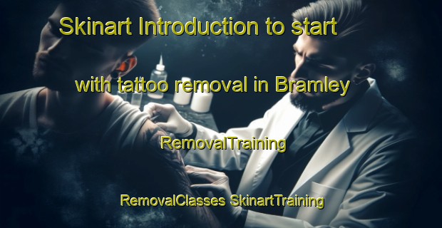 Skinart Introduction to start with tattoo removal in Bramley | #RemovalTraining #RemovalClasses #SkinartTraining-United Kingdom