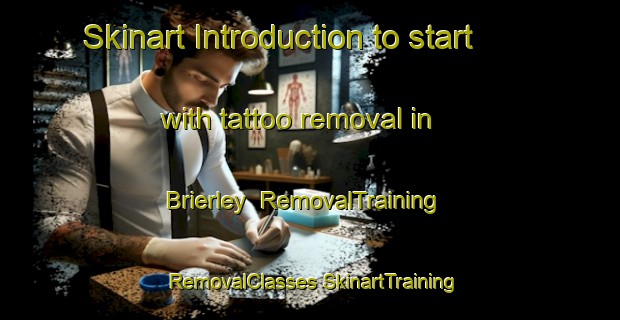 Skinart Introduction to start with tattoo removal in Brierley | #RemovalTraining #RemovalClasses #SkinartTraining-United Kingdom