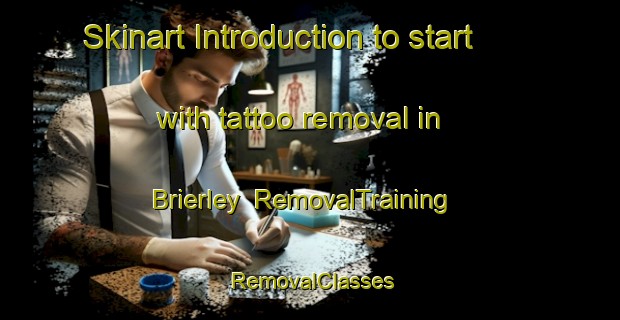 Skinart Introduction to start with tattoo removal in Brierley | RemovalTraining | RemovalClasses | SkinartTraining-United Kingdom