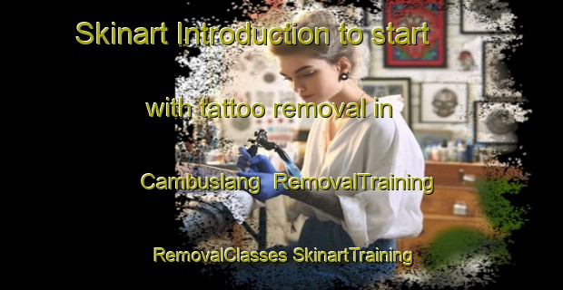 Skinart Introduction to start with tattoo removal in Cambuslang | #RemovalTraining #RemovalClasses #SkinartTraining-United Kingdom