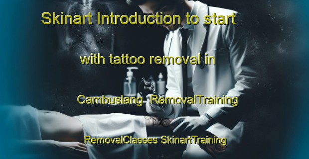 Skinart Introduction to start with tattoo removal in Cambuslang | #RemovalTraining #RemovalClasses #SkinartTraining-United Kingdom