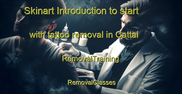 Skinart Introduction to start with tattoo removal in Cattal | RemovalTraining | RemovalClasses | SkinartTraining-United Kingdom