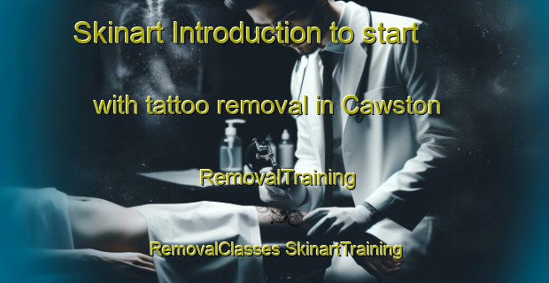 Skinart Introduction to start with tattoo removal in Cawston | #RemovalTraining #RemovalClasses #SkinartTraining-United Kingdom