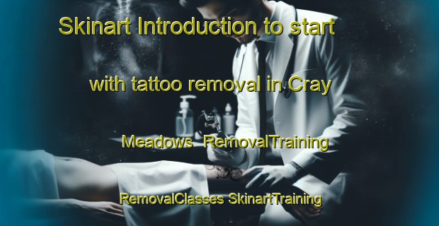 Skinart Introduction to start with tattoo removal in Cray Meadows | #RemovalTraining #RemovalClasses #SkinartTraining-United Kingdom