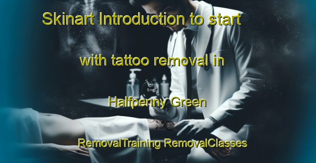 Skinart Introduction to start with tattoo removal in Halfpenny Green | #RemovalTraining #RemovalClasses #SkinartTraining-United Kingdom