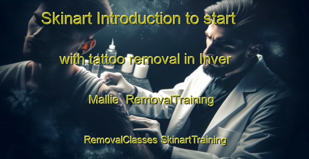 Skinart Introduction to start with tattoo removal in Inver Mallie | #RemovalTraining #RemovalClasses #SkinartTraining-United Kingdom