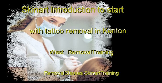 Skinart Introduction to start with tattoo removal in Kenton West | #RemovalTraining #RemovalClasses #SkinartTraining-United Kingdom