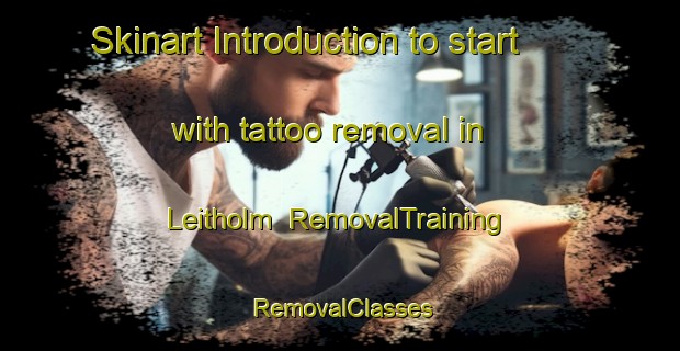 Skinart Introduction to start with tattoo removal in Leitholm | RemovalTraining | RemovalClasses | SkinartTraining-United Kingdom