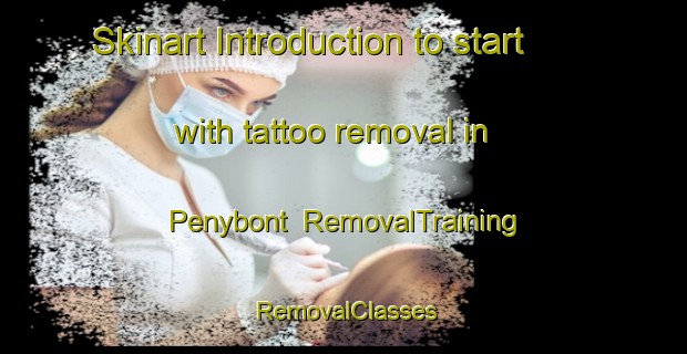 Skinart Introduction to start with tattoo removal in Penybont | RemovalTraining | RemovalClasses | SkinartTraining-United Kingdom