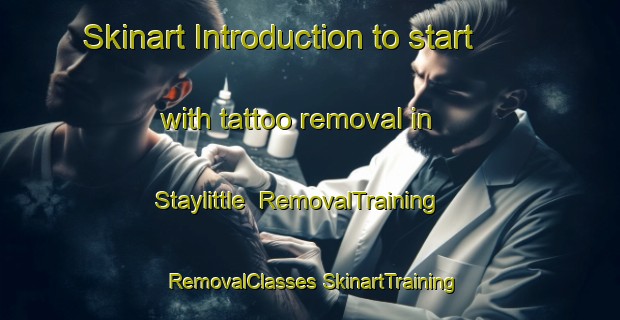 Skinart Introduction to start with tattoo removal in Staylittle | #RemovalTraining #RemovalClasses #SkinartTraining-United Kingdom