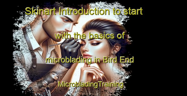 Skinart Introduction to start with the basics of microblading in Bird End | MicrobladingTraining | MicrobladingClasses | SkinartTraining-United Kingdom