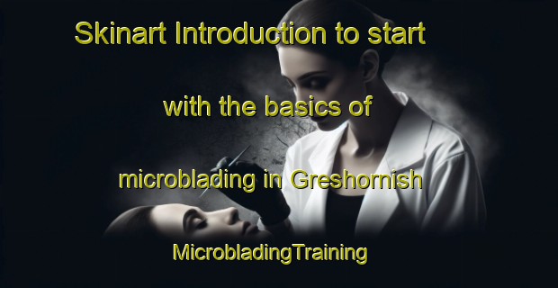 Skinart Introduction to start with the basics of microblading in Greshornish | MicrobladingTraining | MicrobladingClasses | SkinartTraining-United Kingdom