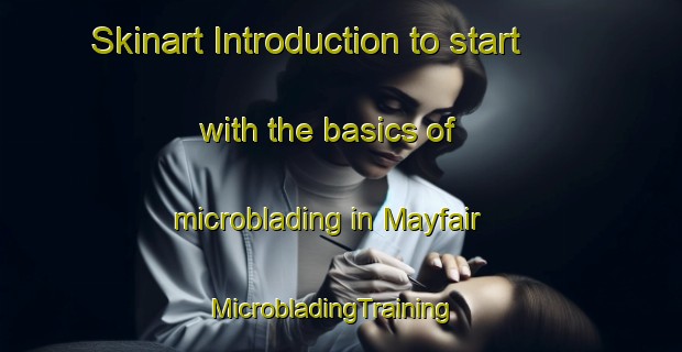 Skinart Introduction to start with the basics of microblading in Mayfair | MicrobladingTraining | MicrobladingClasses | SkinartTraining-United Kingdom