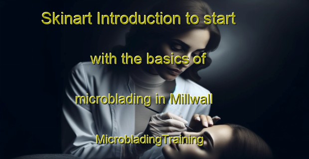 Skinart Introduction to start with the basics of microblading in Millwall | MicrobladingTraining | MicrobladingClasses | SkinartTraining-United Kingdom