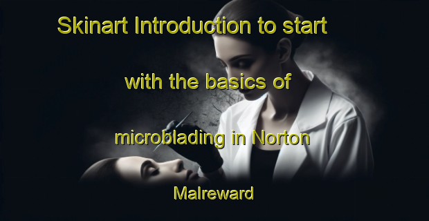 Skinart Introduction to start with the basics of microblading in Norton Malreward | MicrobladingTraining | MicrobladingClasses | SkinartTraining-United Kingdom