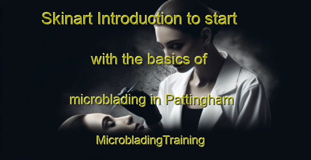 Skinart Introduction to start with the basics of microblading in Pattingham | MicrobladingTraining | MicrobladingClasses | SkinartTraining-United Kingdom