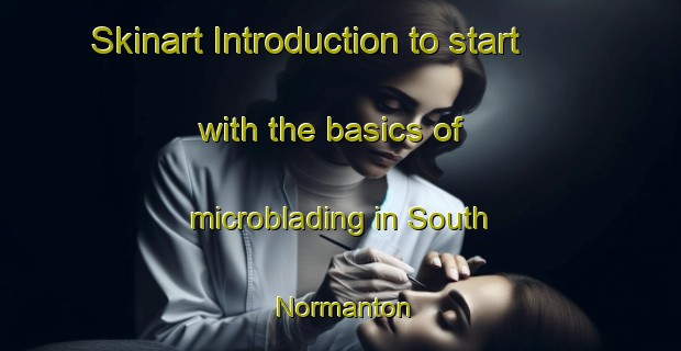 Skinart Introduction to start with the basics of microblading in South Normanton | MicrobladingTraining | MicrobladingClasses | SkinartTraining-United Kingdom