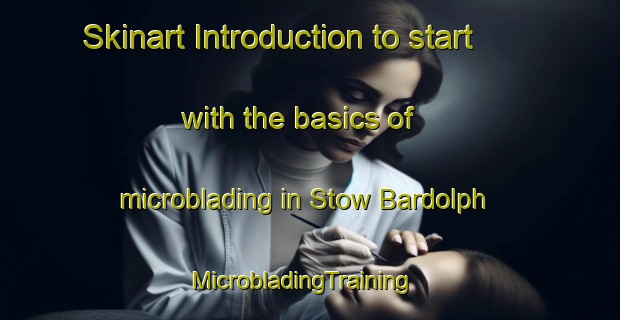 Skinart Introduction to start with the basics of microblading in Stow Bardolph | MicrobladingTraining | MicrobladingClasses | SkinartTraining-United Kingdom