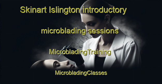 Skinart Islington introductory microblading sessions | #MicrobladingTraining #MicrobladingClasses #SkinartTraining-United Kingdom