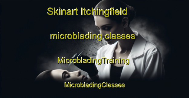 Skinart Itchingfield microblading classes | #MicrobladingTraining #MicrobladingClasses #SkinartTraining-United Kingdom