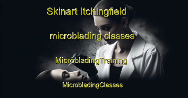 Skinart Itchingfield microblading classes | MicrobladingTraining | MicrobladingClasses | SkinartTraining-United Kingdom