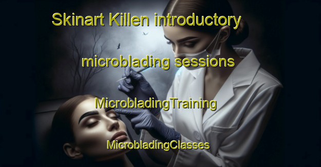 Skinart Killen introductory microblading sessions | MicrobladingTraining | MicrobladingClasses | SkinartTraining-United Kingdom