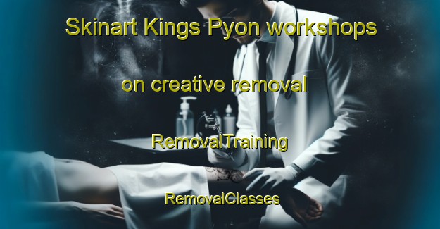 Skinart Kings Pyon workshops on creative removal | RemovalTraining | RemovalClasses | SkinartTraining-United Kingdom