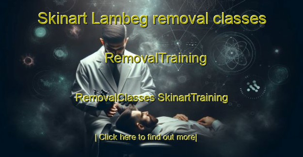 Skinart Lambeg removal classes | #RemovalTraining #RemovalClasses #SkinartTraining-United Kingdom